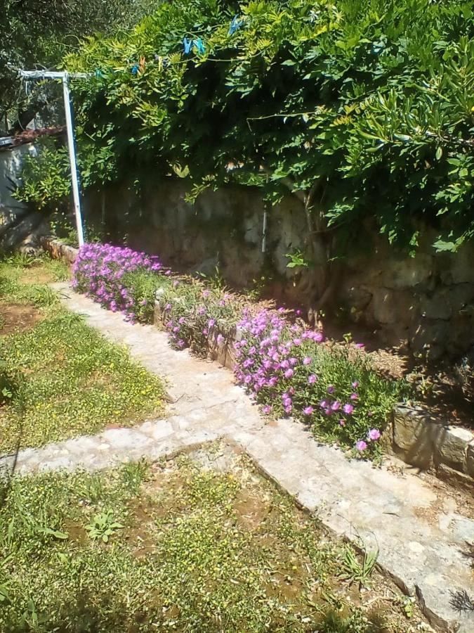 Apartman-Maja-Krk Krk Town Exterior foto